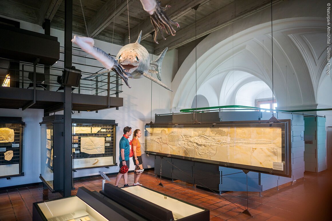 Menschen betrachten Fossilien und ein Modell eines prähistorischen Fisches in einem Museum.